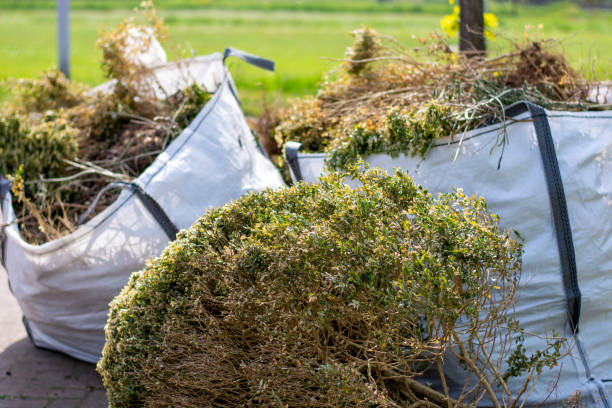 Best Residential Junk Removal  in Le Claire, IA